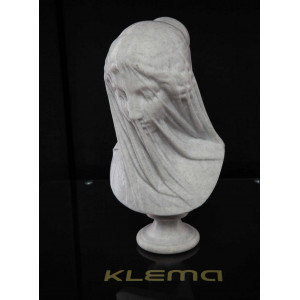 Drukarka 3D KLEMA 250