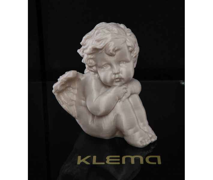Drukarka 3D KLEMA SCHOOL