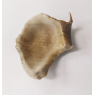 Drukarka 3D CreatBot PEEK300