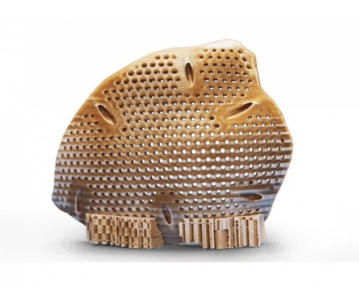 Drukarka 3D CreatBot PEEK-250