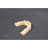 Drukarka 3D CreatBot F160 Peek