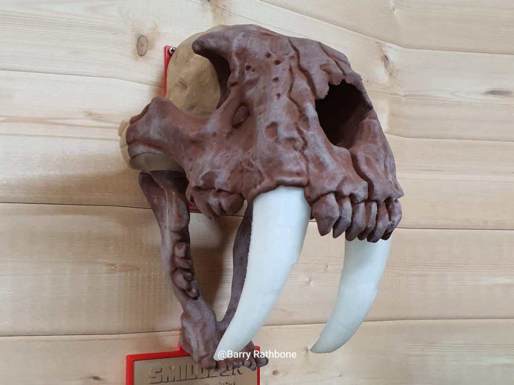 Kolorowy wydruk 3D z filamentów PETG i PLA